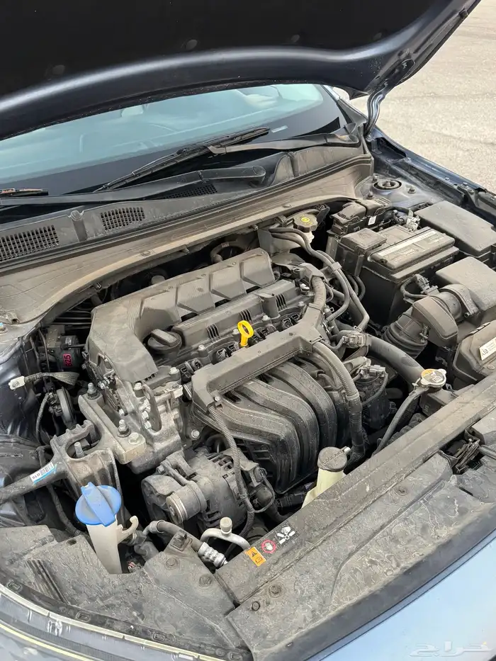 سيراتو 2022 19