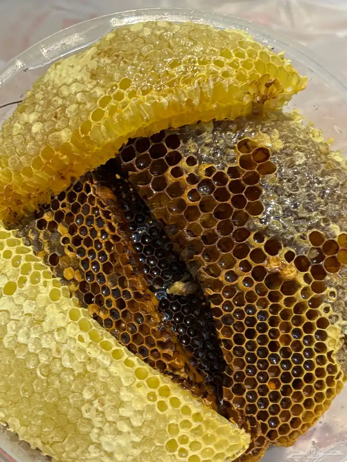 عسل شمع - خزاين وسحايه - 0