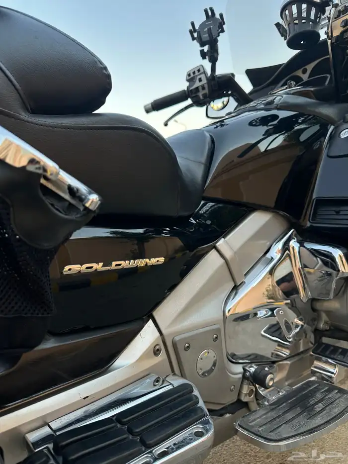 قولد وينق 10