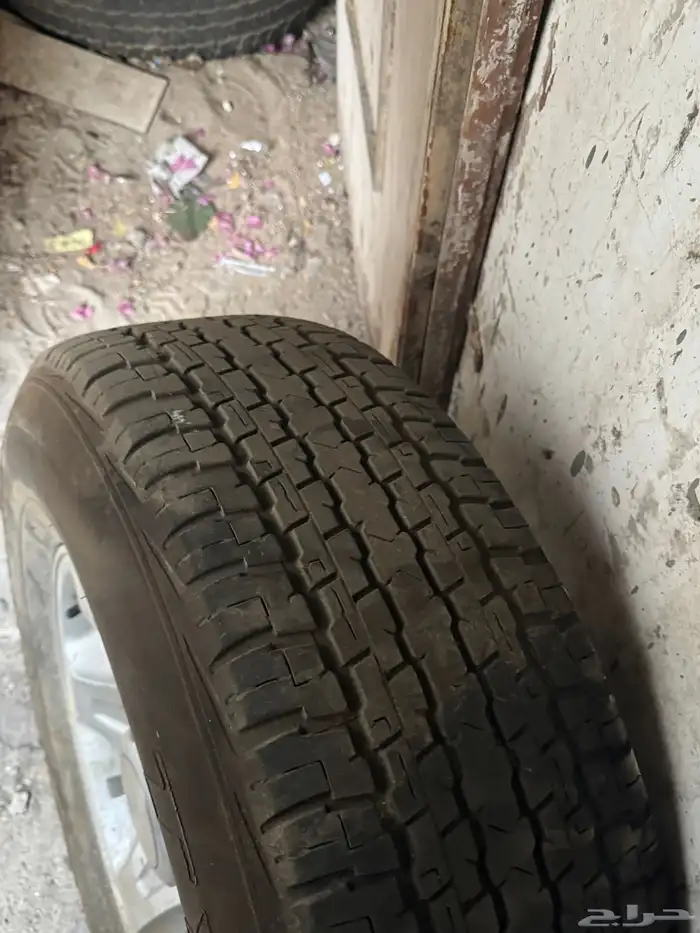 جنوط جيب ربع رفرف 14