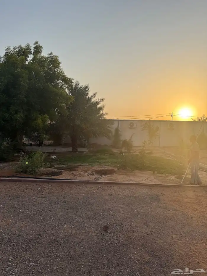 مزرعه واستراحه كامله للايجار سنوي 3