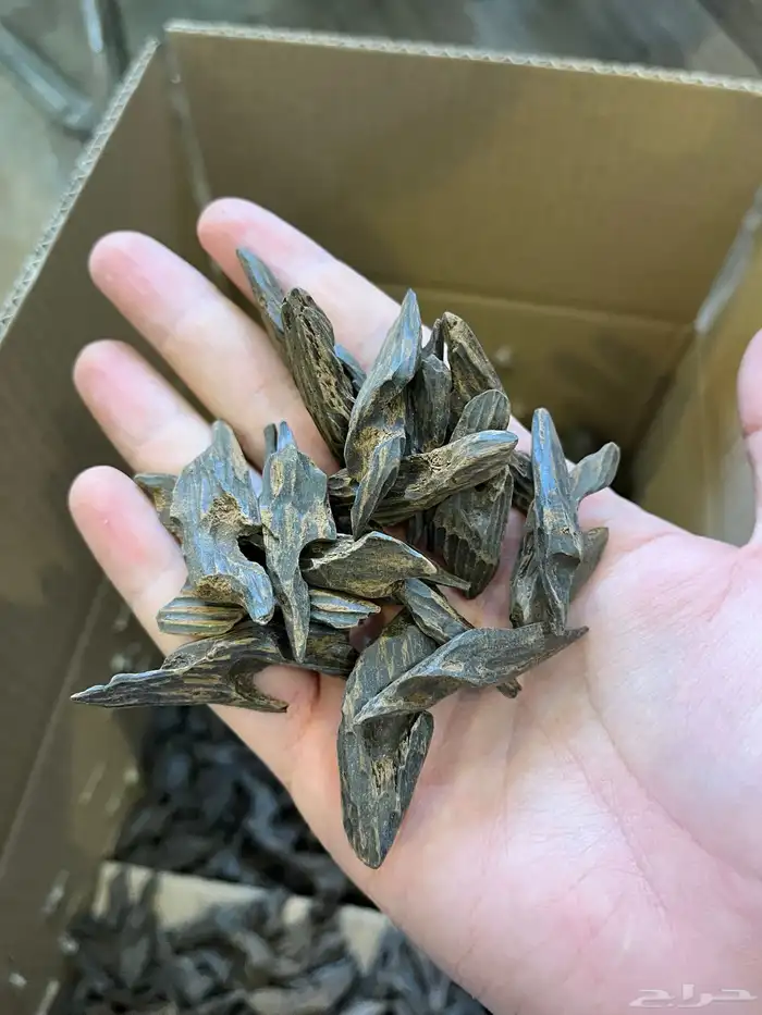 عود بنتلي العربية 0