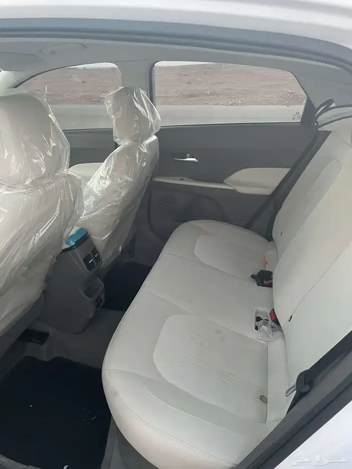 الاكسنت فليت 2024 3