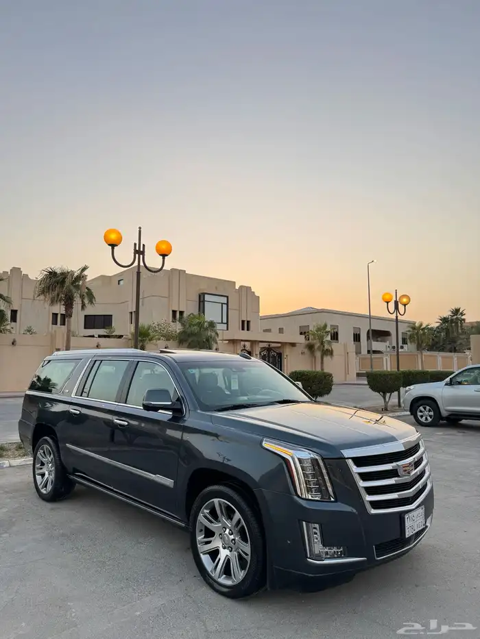 اسكاليد 2019 بريميوم (ملكي) الجميح نظيف جدا 9