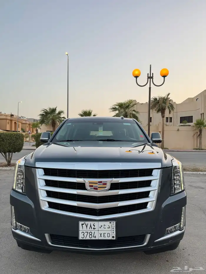 اسكاليد 2019 بريميوم (ملكي) الجميح نظيف جدا 7