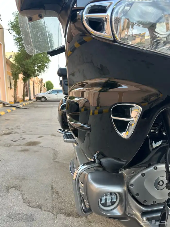 قولد وينق 13