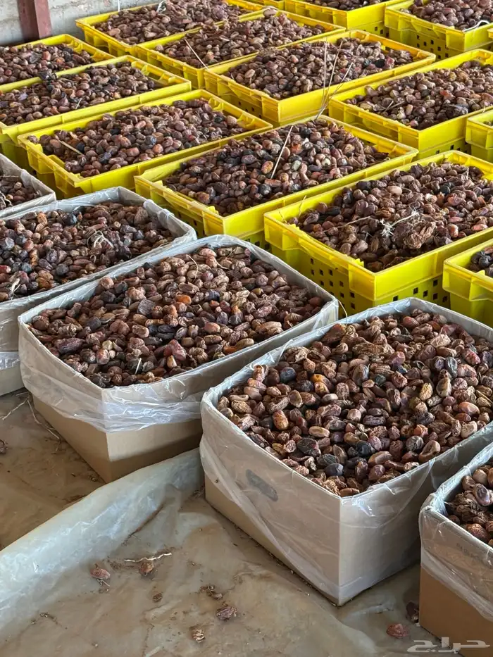 تمر ناشف علف مواشي 0