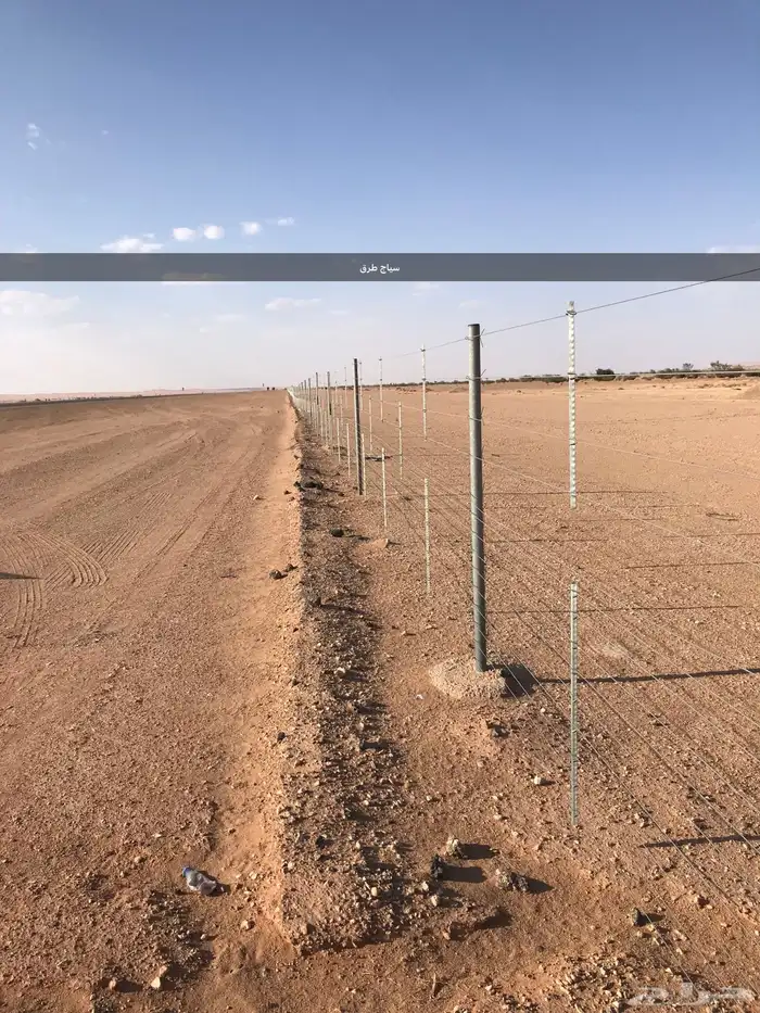 شبوك مزارع شبوك محميات 12