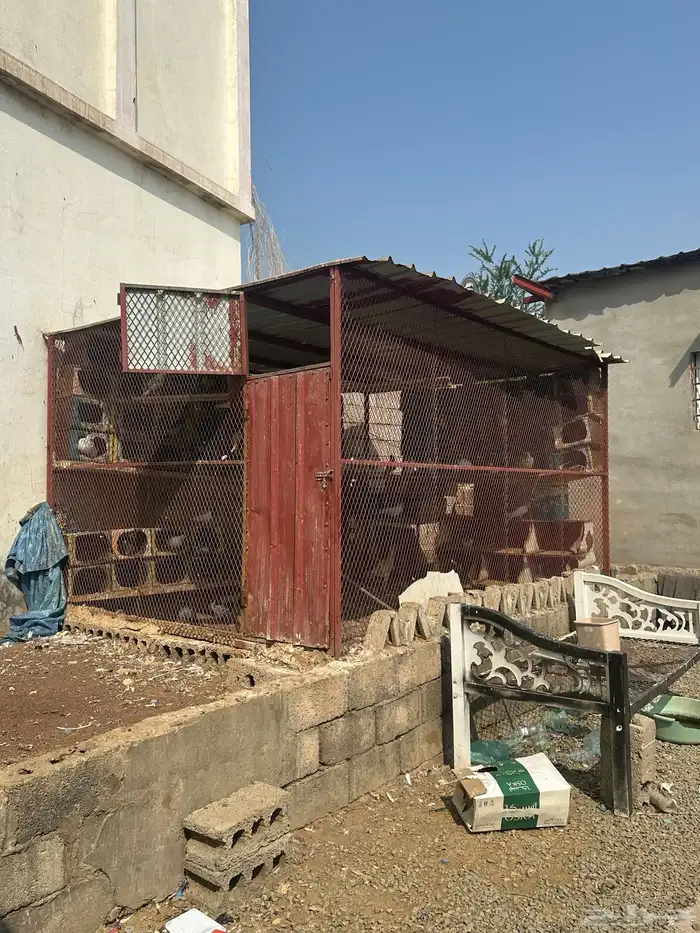 شبك حمام 4في3 3