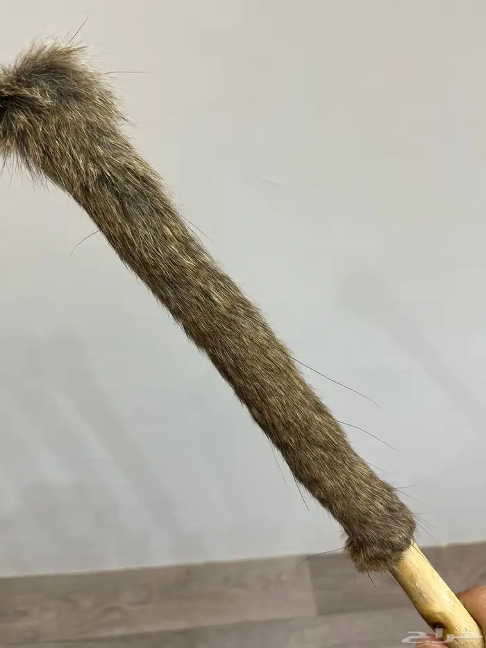 عصىاء شوحط ملبس فرو وبر في الاعلى واسفلها يد وبر 2