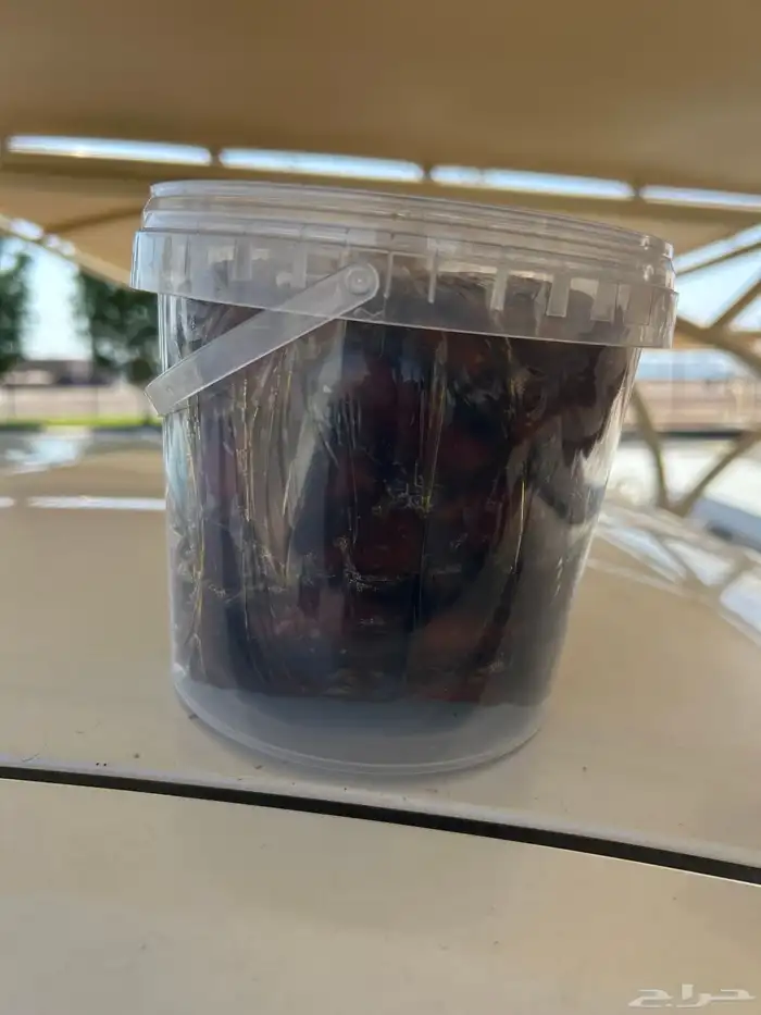 تمر 3 انواع من مزارع حايل 1