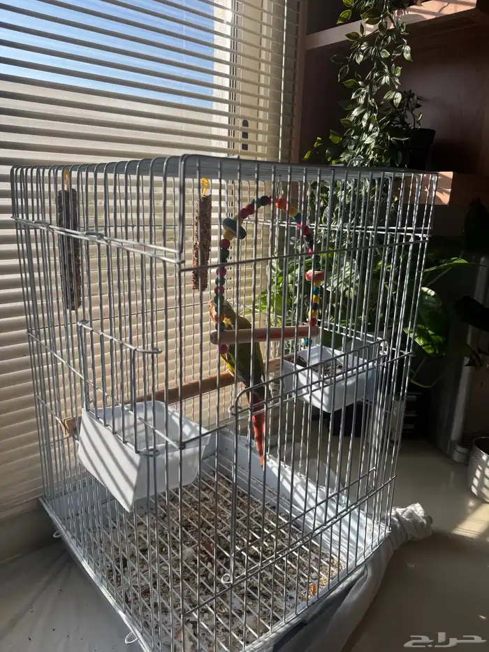 طيران الناس اليف جدا جدا جدا 5