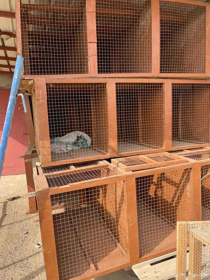 محاكر 3 ادوار 2