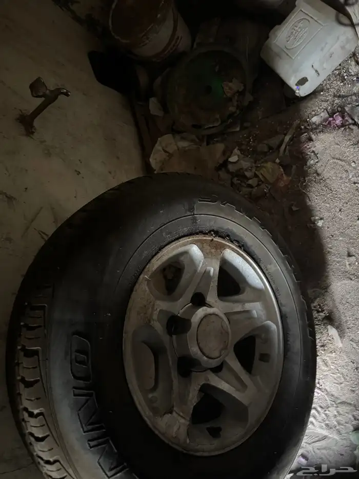 جنوط جيب ربع رفرف 7