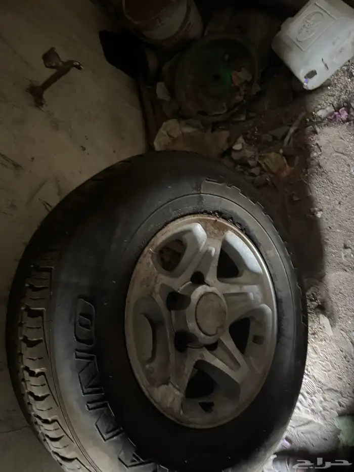 جنوط جيب ربع رفرف 6