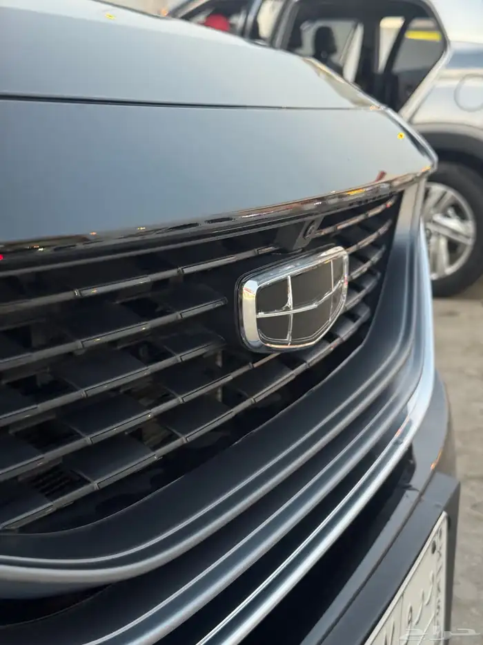 للبيع جيلي اوفكانجو 12