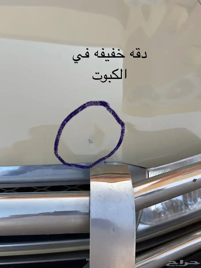 شاص رفرف فل كامل 13