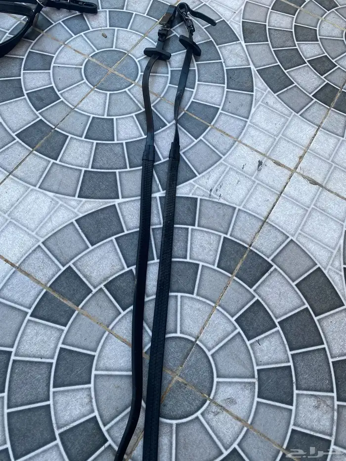 سرج ولجام ستيتوس نظيفه 2