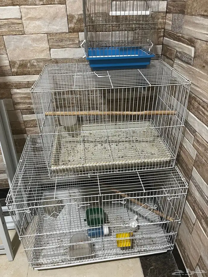 اقفاص طيور وستاند 601 0