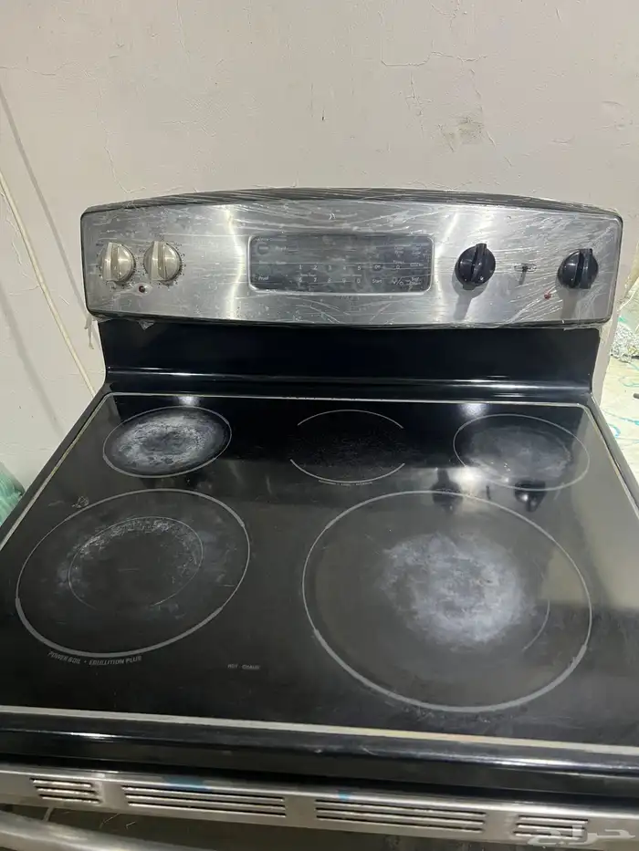 قز كهرب للبيع 1