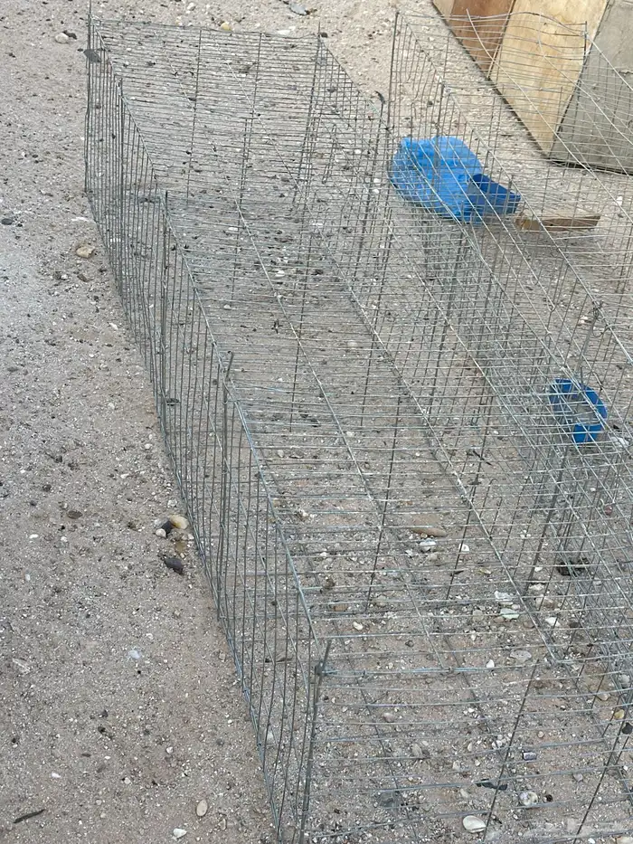 محاكر للبيع 2