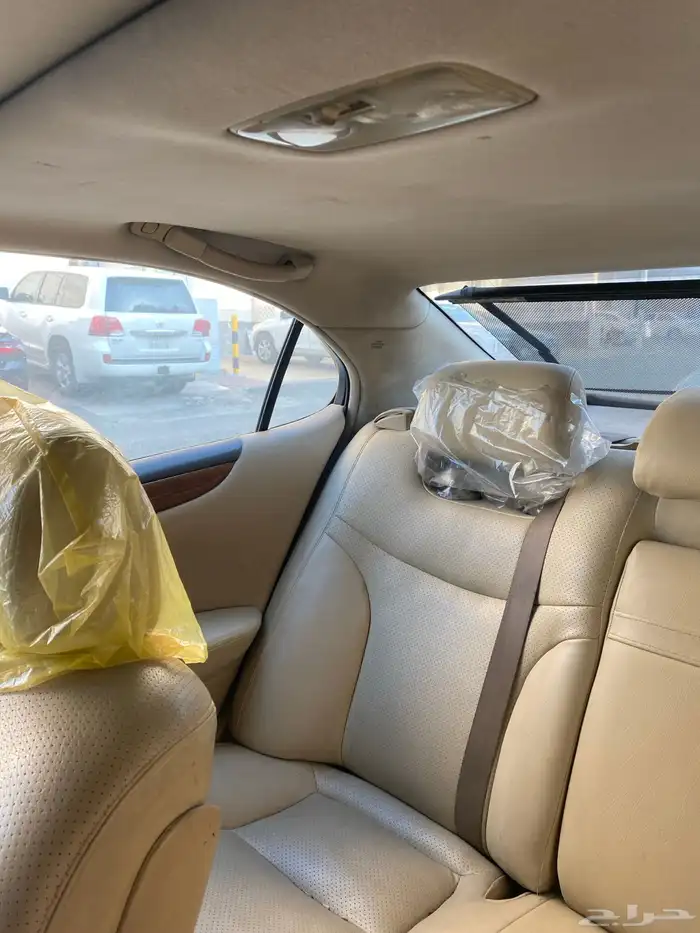 زهرة العمره 6