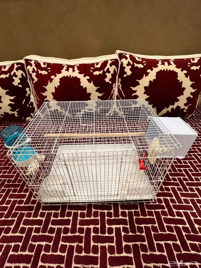 قفص طيور 13