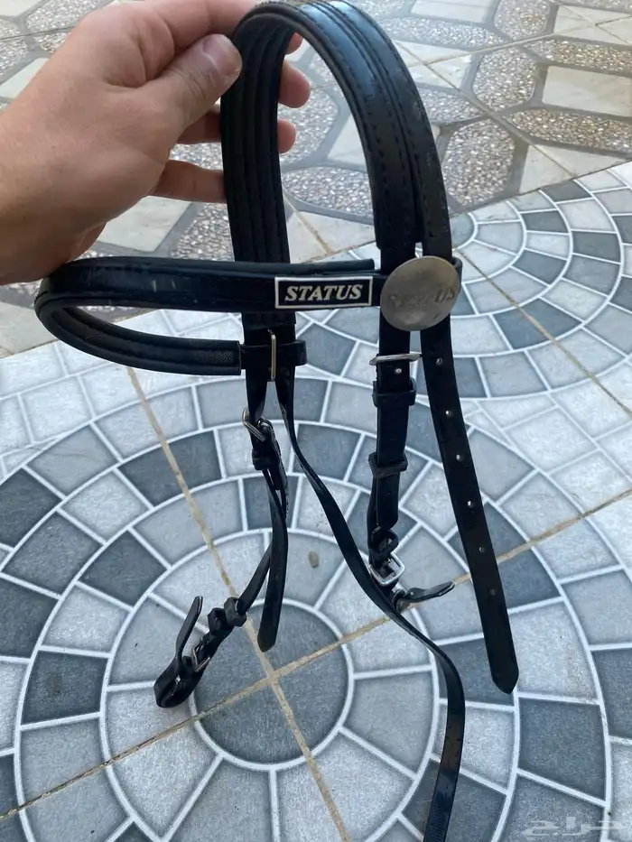 سرج ولجام ستيتوس نظيفه 1