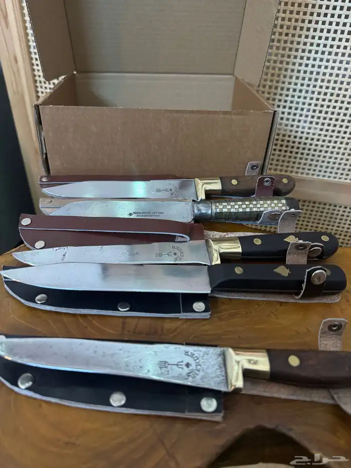 نوادر ام شوكة 1