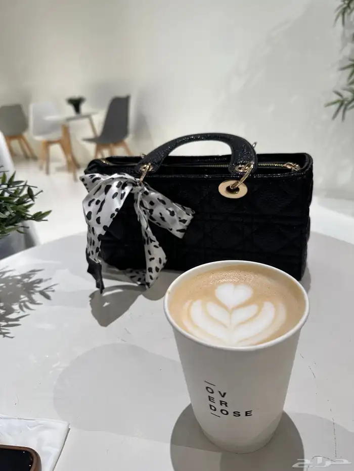 شنطة جديده بقراطيسها 0