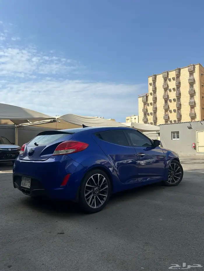 فيلوستر 2015 3