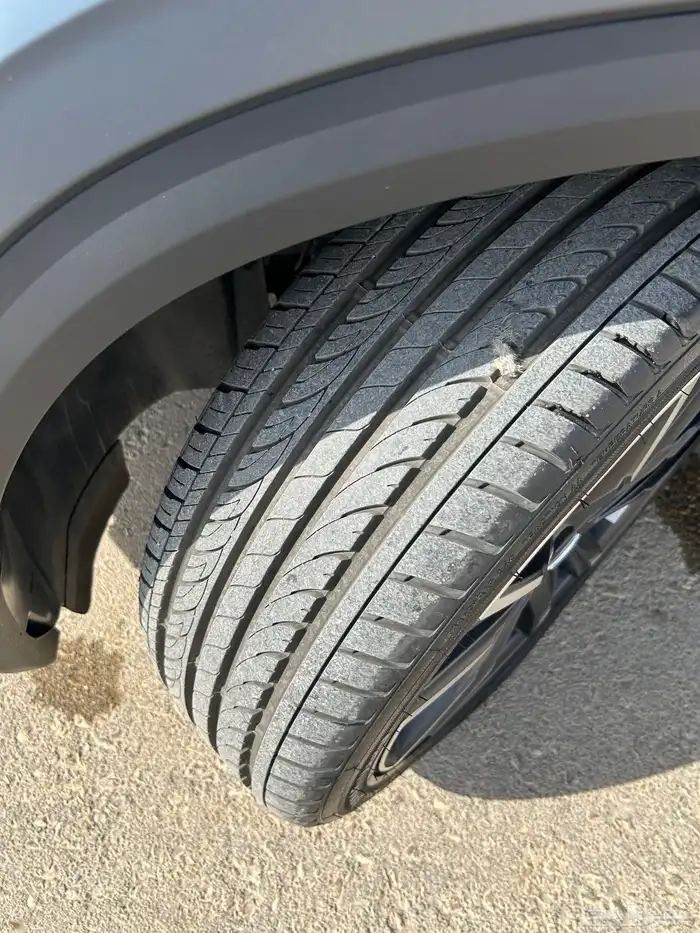 جيلي مونجارو 14