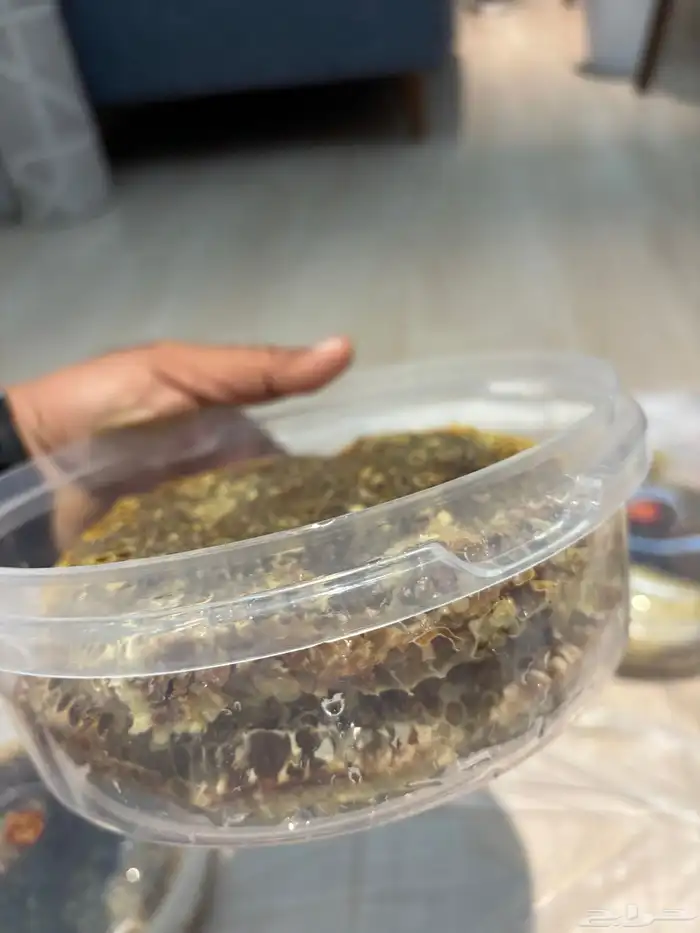 عسل شمع - خزاين وسحايه - 4