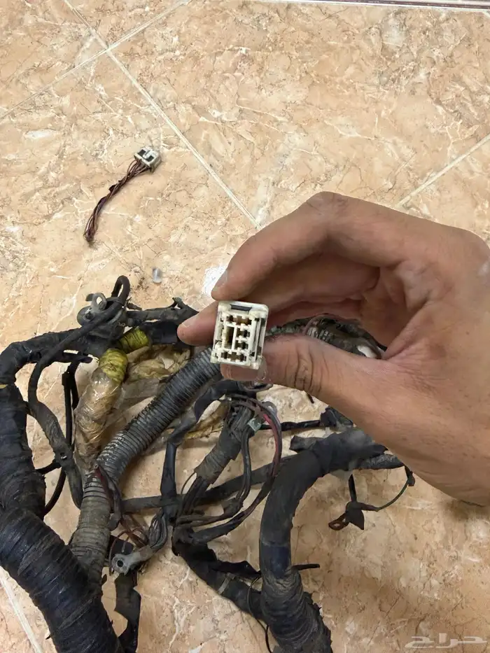 ظفرة نسيان صني موديل 2012 2