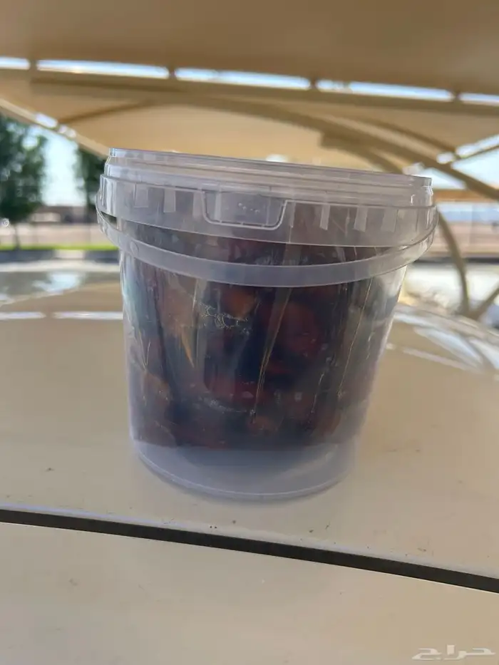 تمر 3 انواع من مزارع حايل 2