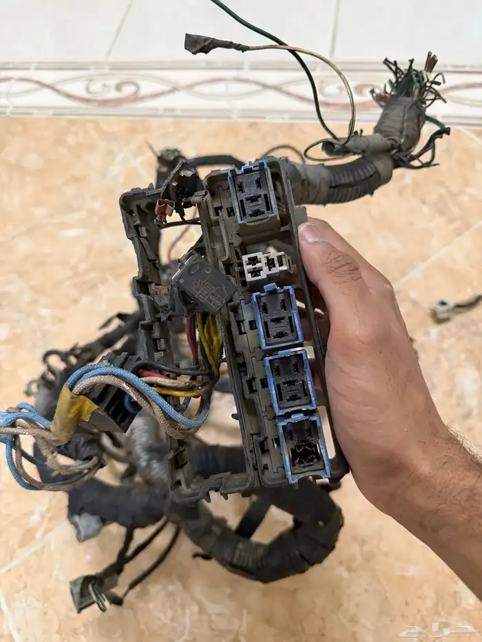 ظفرة نسيان صني موديل 2012 0