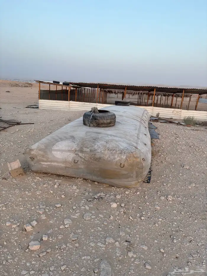 عزبه شمال سوق الغنم بالاحساء 2