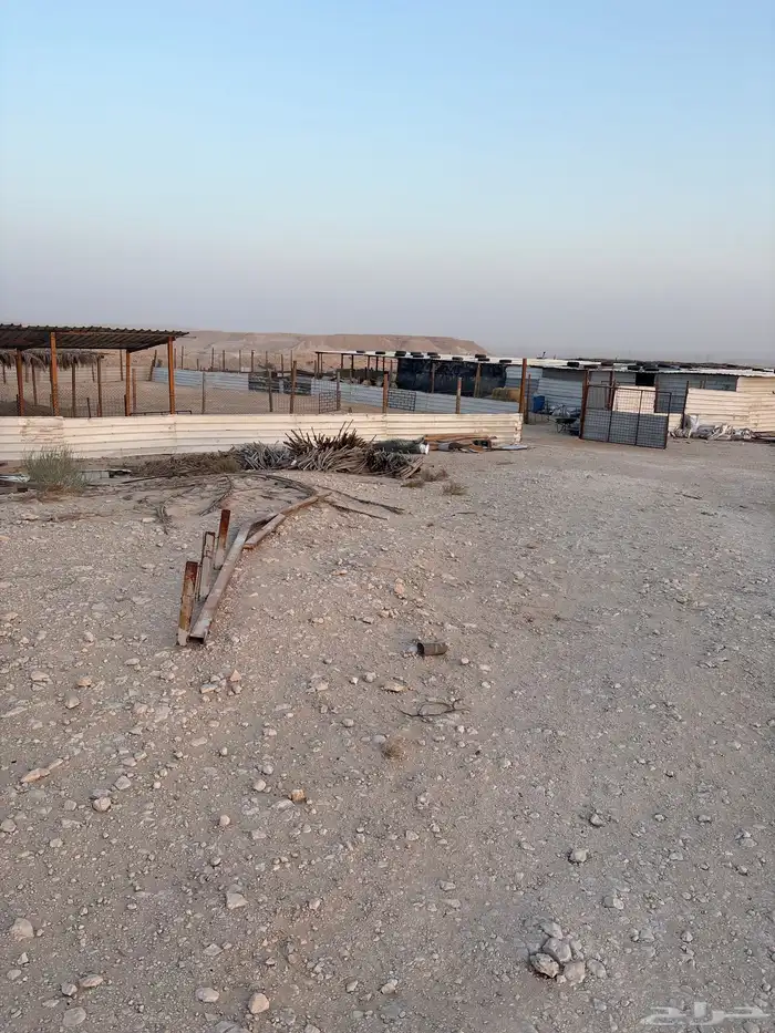 عزبه شمال سوق الغنم بالاحساء 3