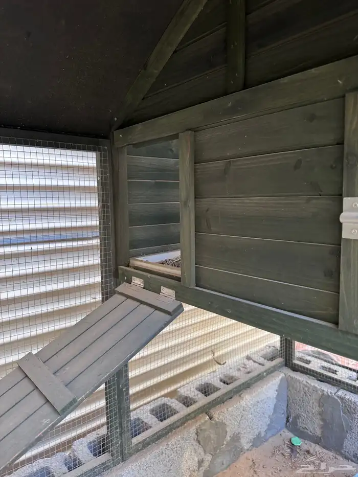 كوخ دجاج خشب 5