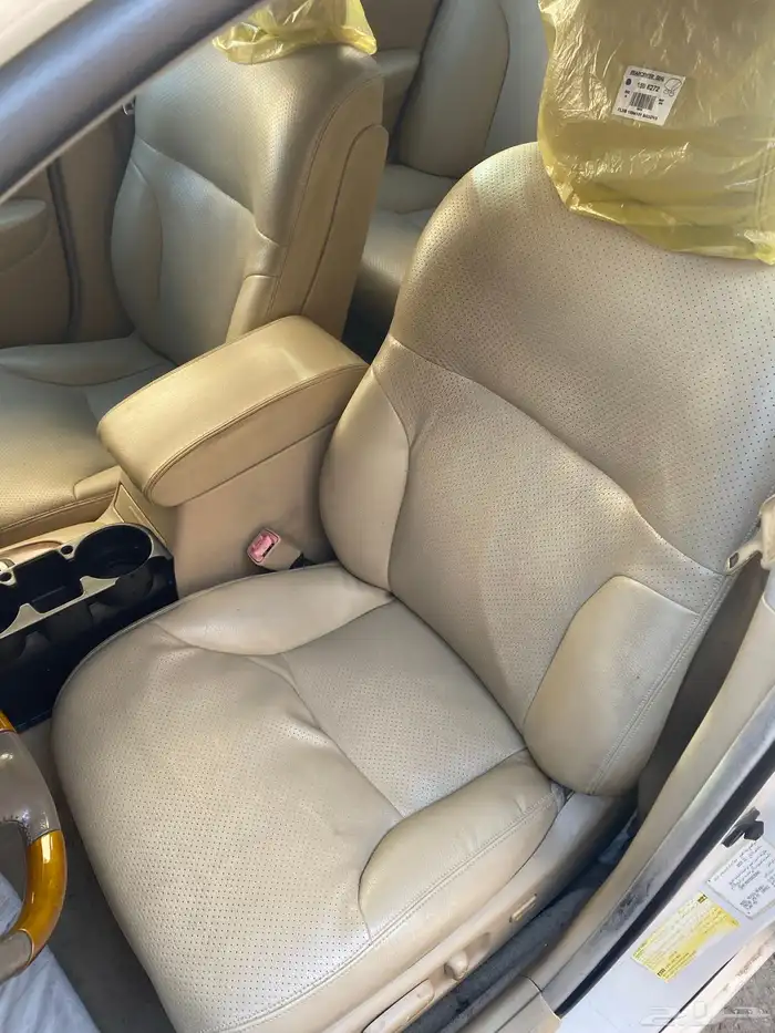 زهرة العمره 17