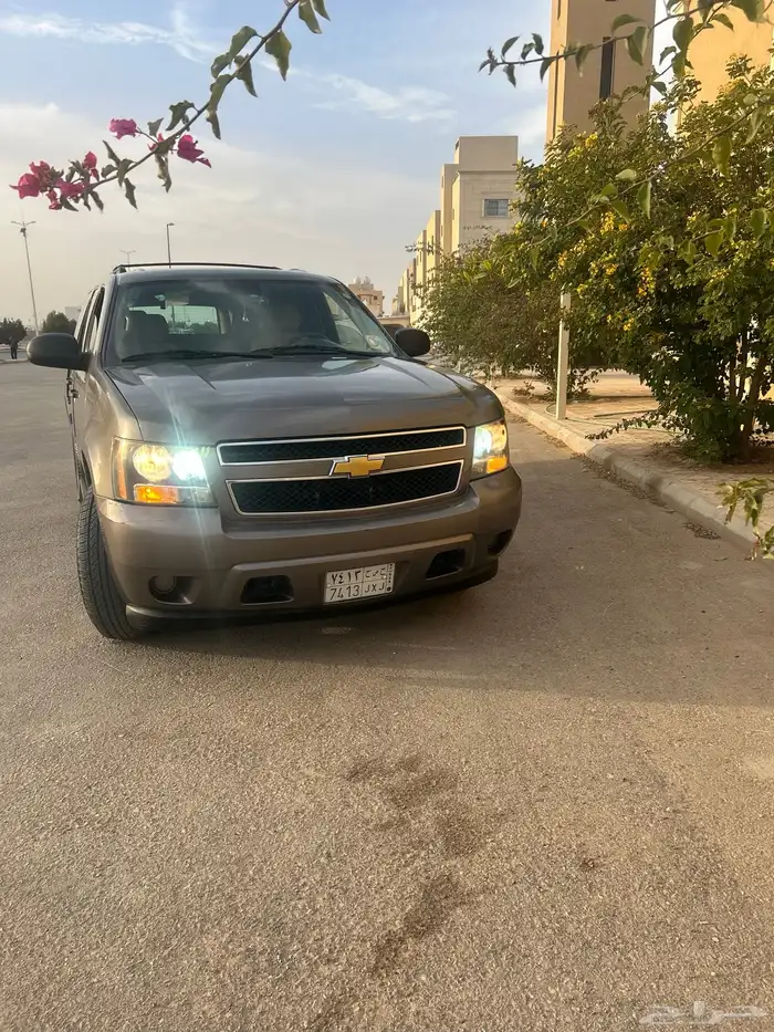 الممشى 158000 مستخدم واحد 10