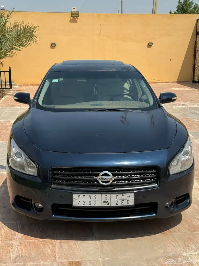 مكسيما 2011 18