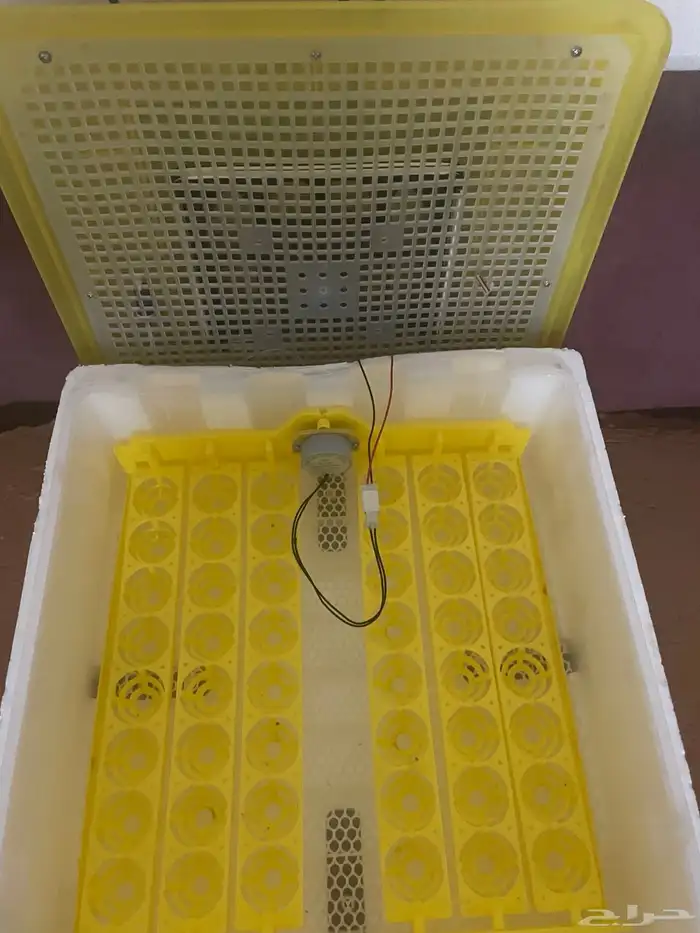 فقاسة بيض 48بيضه 0