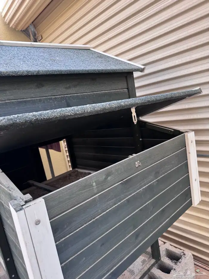 كوخ دجاج خشب 2