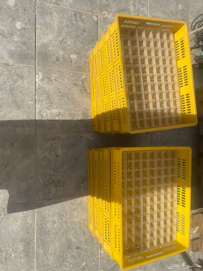 فقاسة فنون العزيزيه 880 بيضة 0