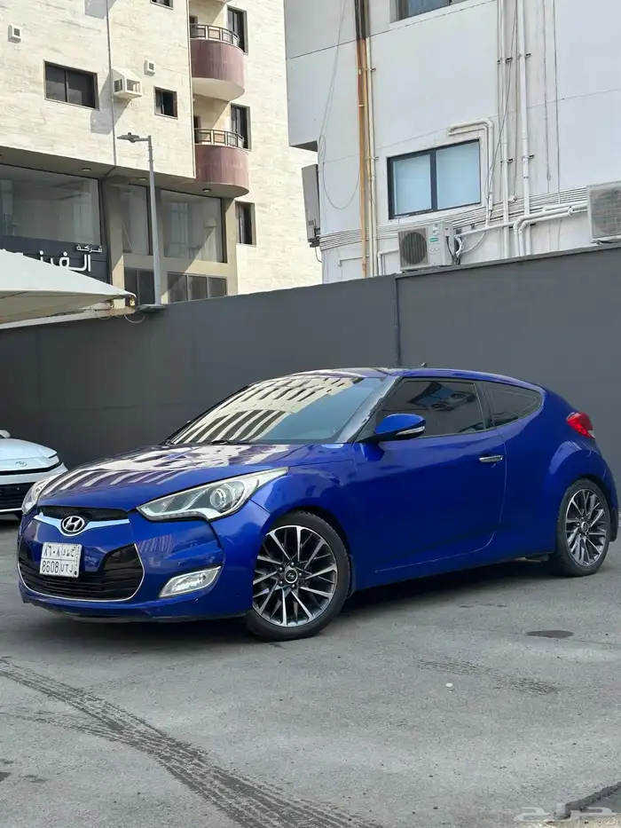 فيلوستر 2015 1