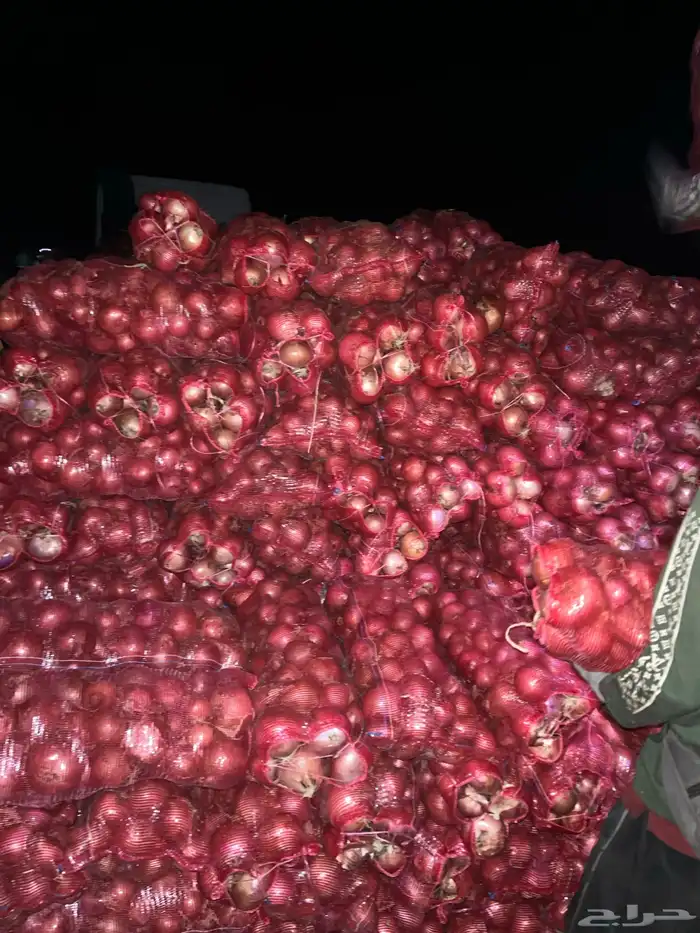 بصل للبيع احجام طيبه نوفر لكم بالطلب 2