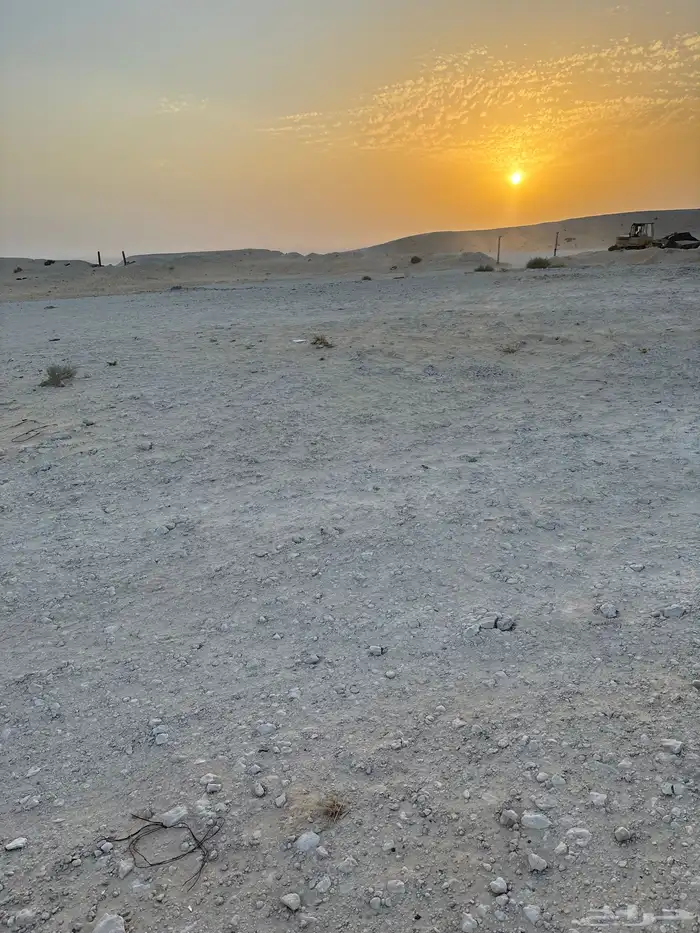 عزبه شمال سوق الغنم بالاحساء 0