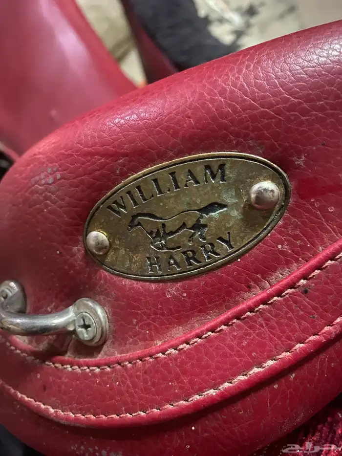 سرج القدرة والتحمل 0