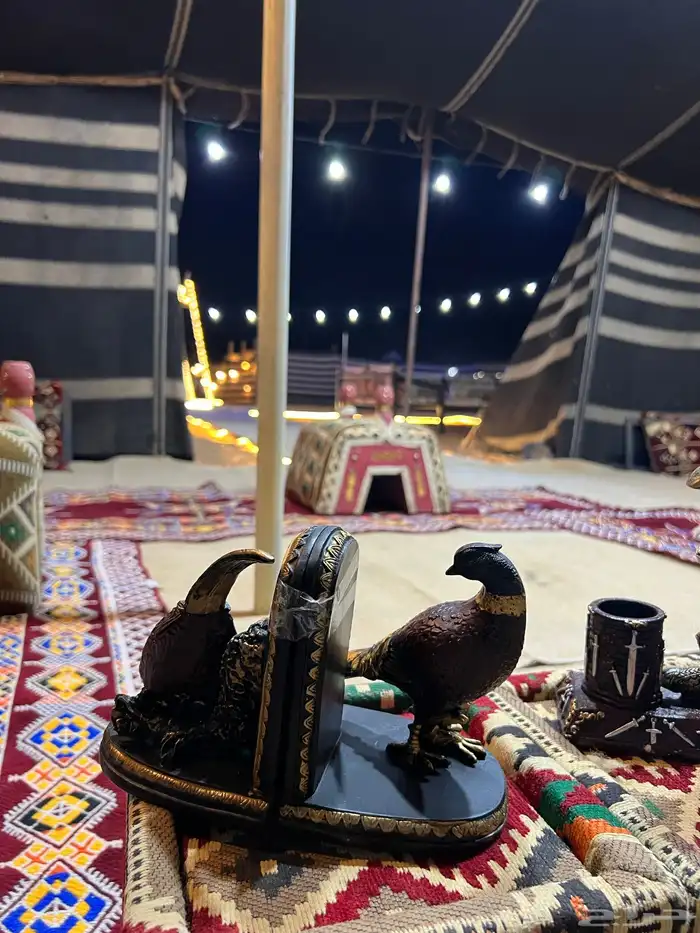 مخيم الجود 0